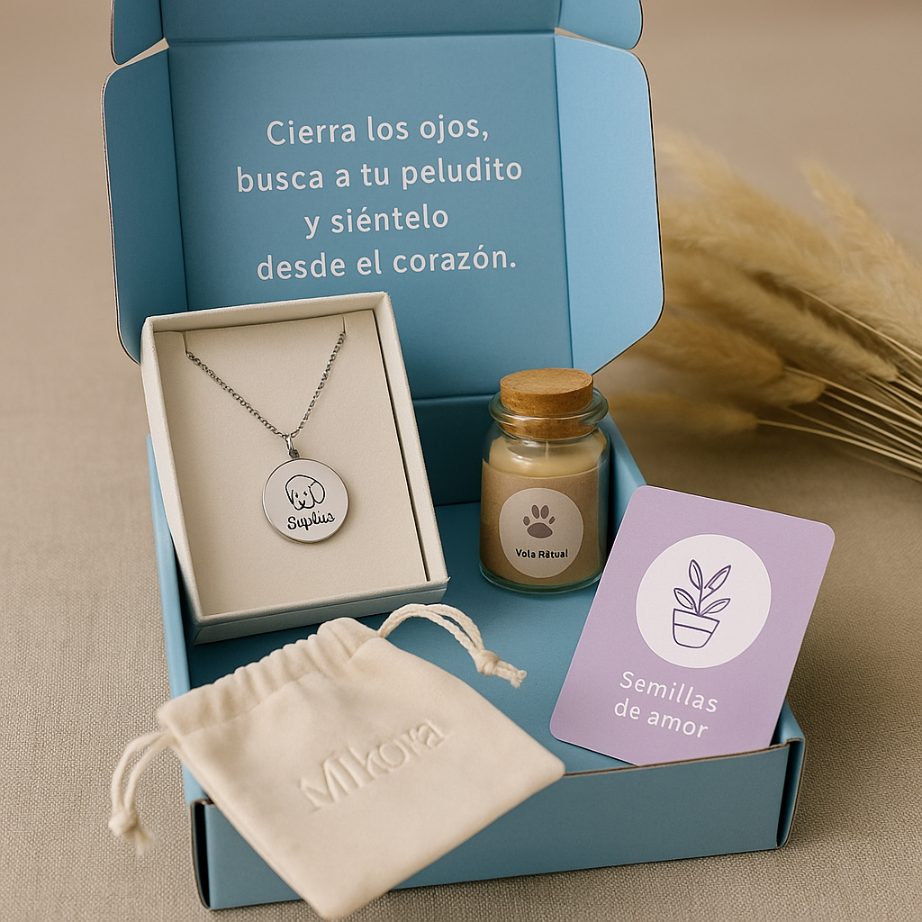 Box Mi Amigo Fiel ┃Personalizable