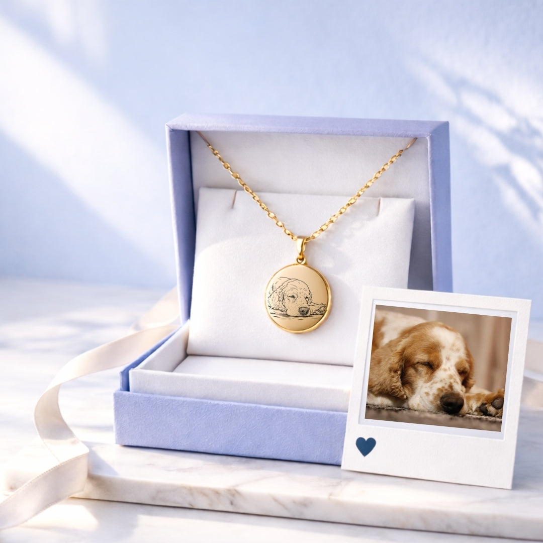 Mi Amigo Fiel 🐕🌈  | Collar Grabado + Foto Impresa + Cajita Gratis ¡SOLO HOY!