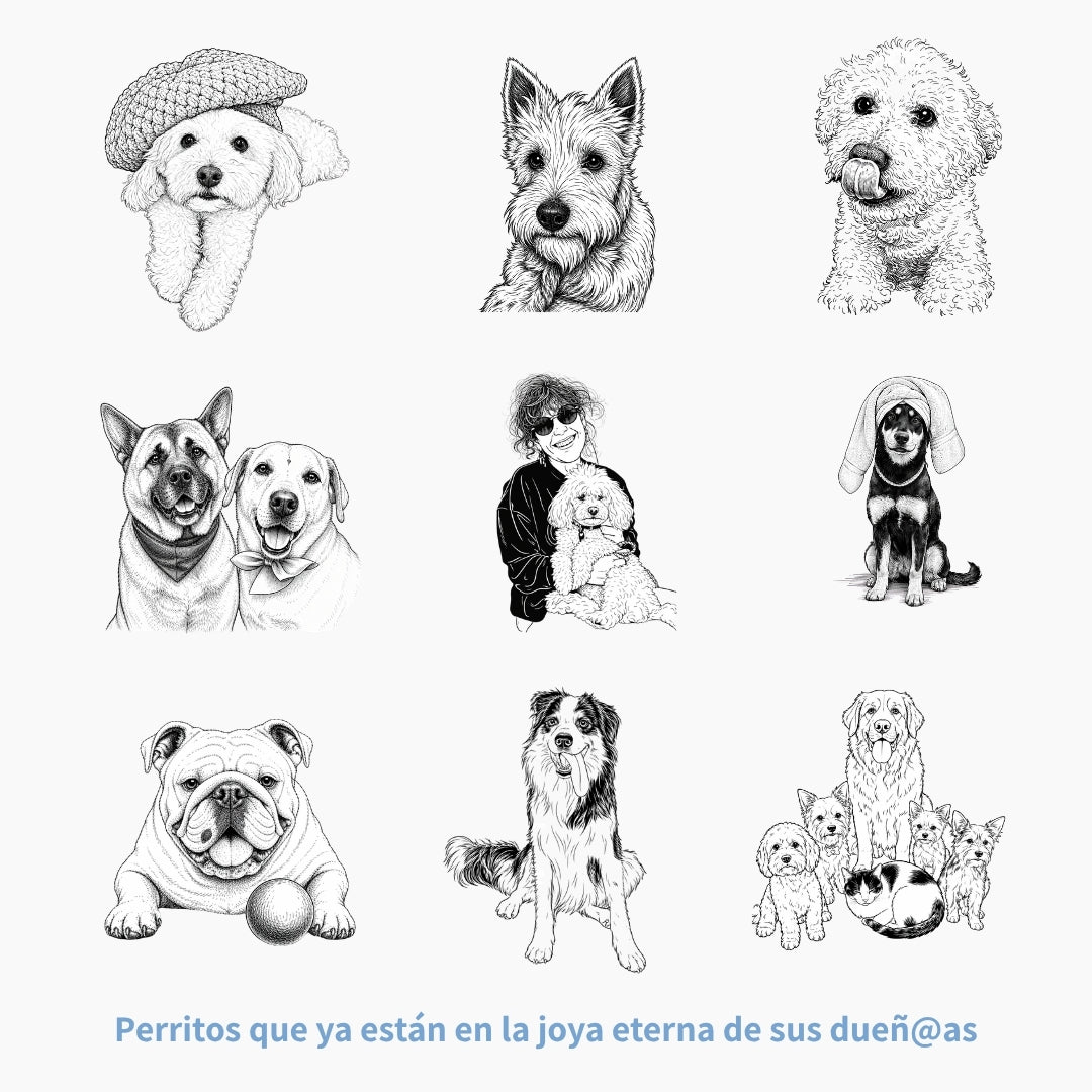 Collar Grabado con la foto de tu Amigo Fiel 🐶