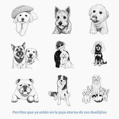 Collar Grabado con la foto de tu Amigo Fiel 🐶