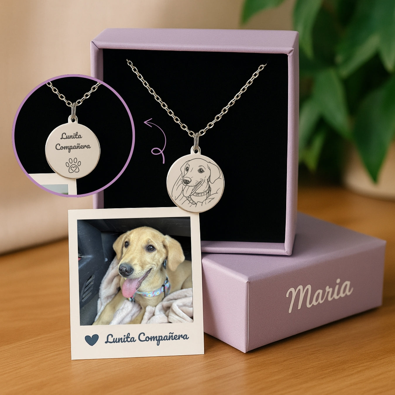 Collar Recuerdo Grabado | Mi Amigo Fiel ✨