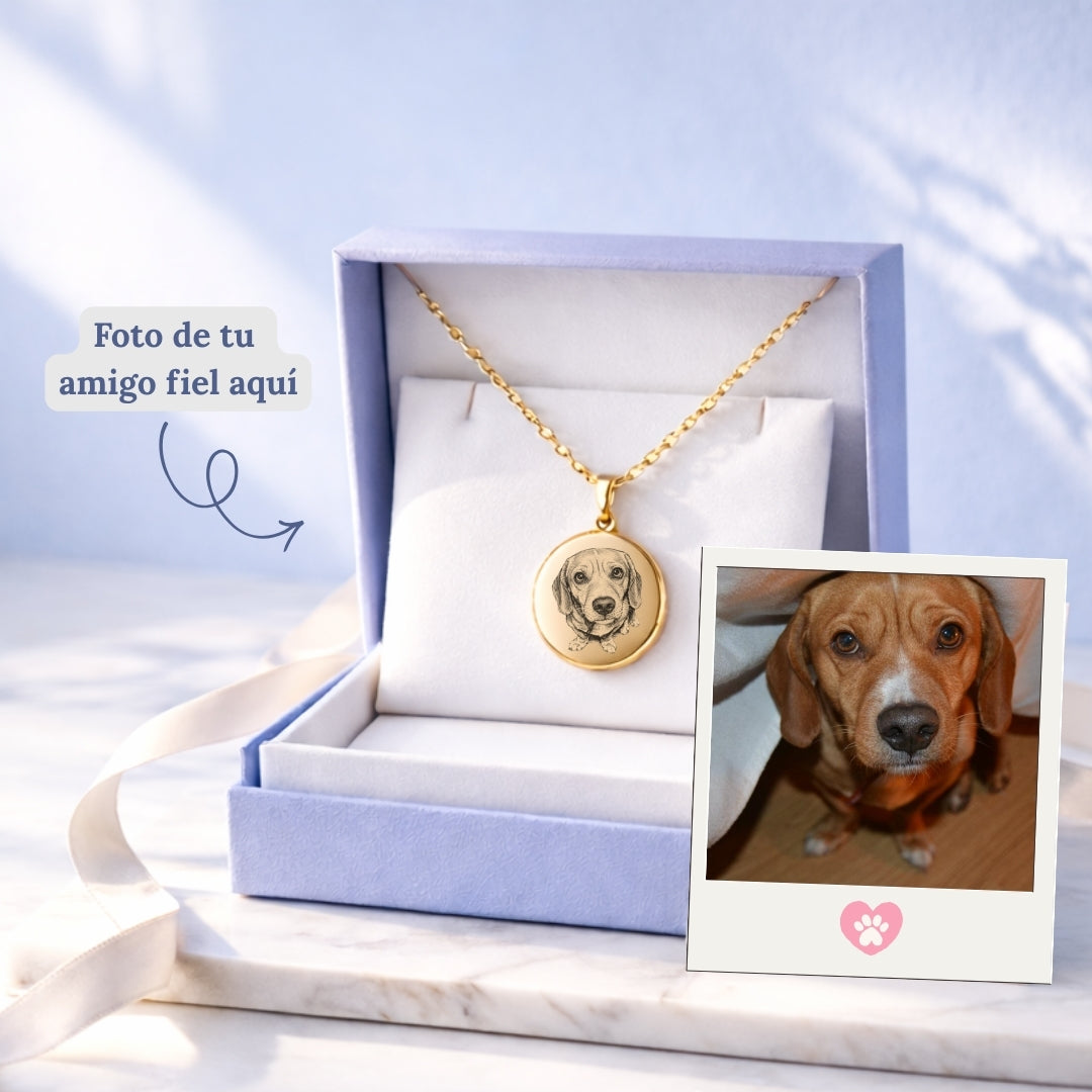Collar Grabado con la foto de tu Amigo Fiel 🐶