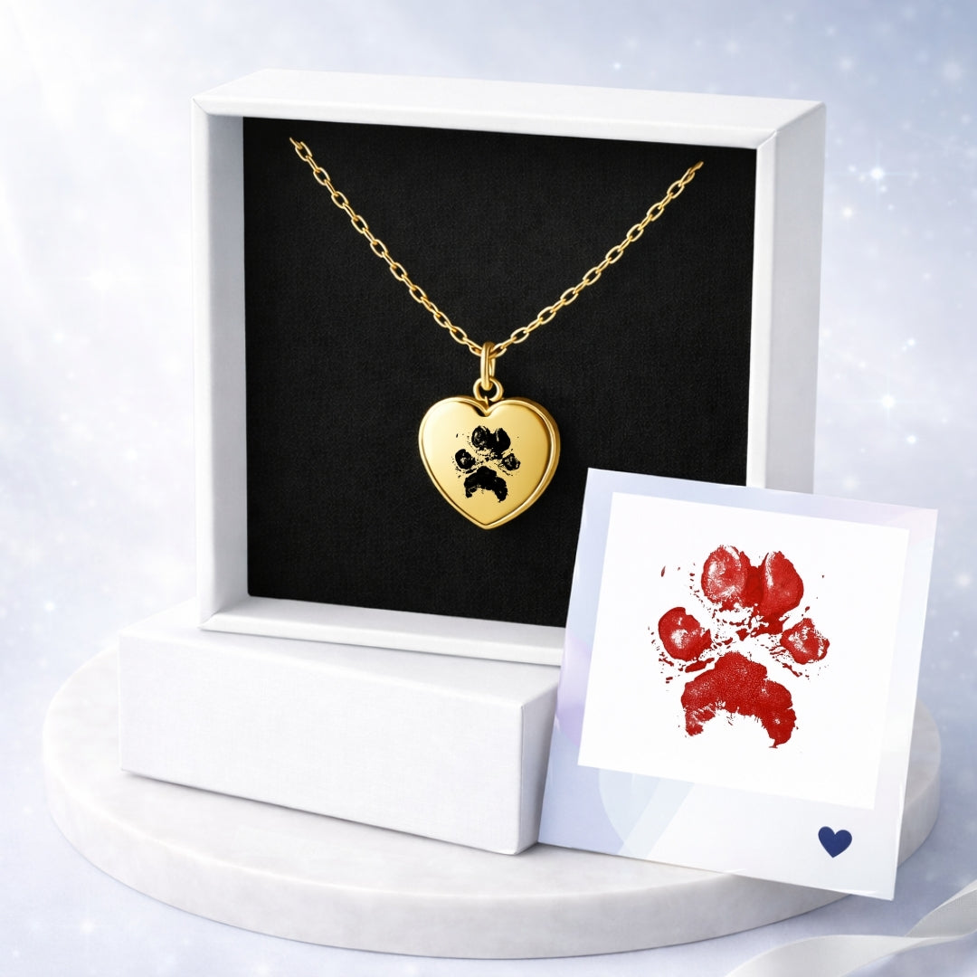 Collar Personalizado + Foto Polaroid Gratis 🌟 | Amigo Fiel 💘