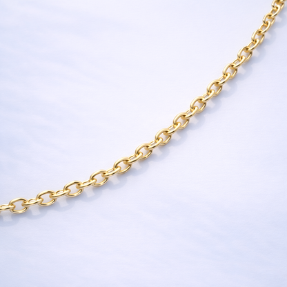 Cadena Aurea de Acero Inoxidable | 45 cm ✨