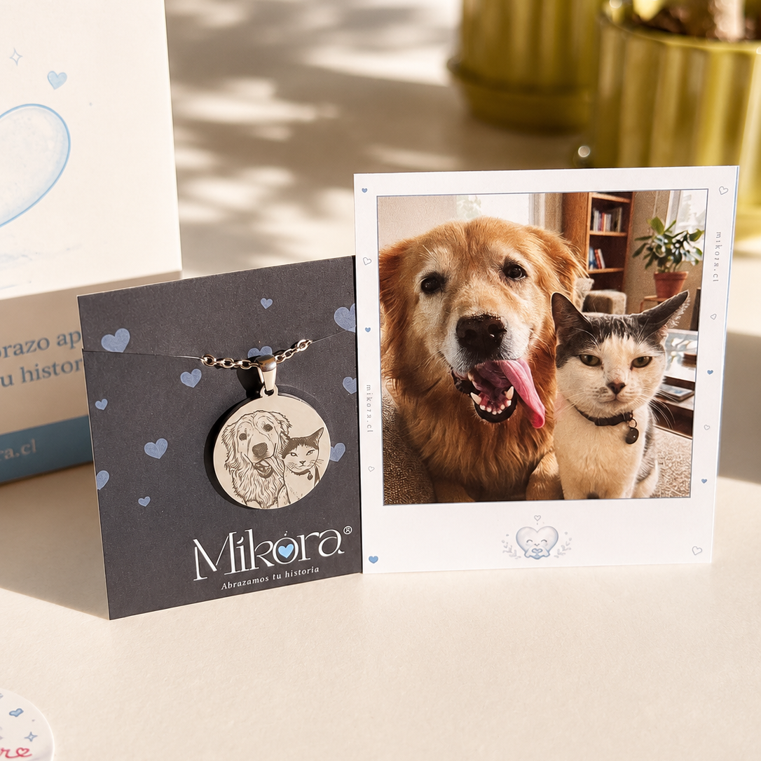 Collar Grabado con la foto de tu Amigo Fiel 🐶