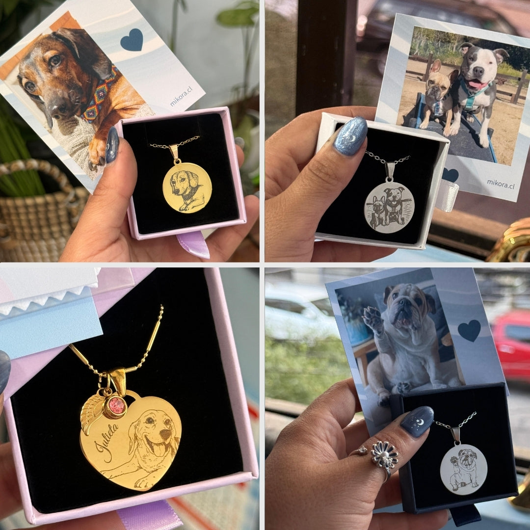 Mi Amigo Fiel 🐕🌈  | Collar Grabado + Foto Impresa + Cajita Gratis ¡SOLO HOY!