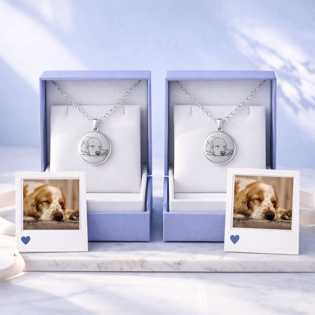 Pack Mi Amigo Fiel 🐕🌈  | 2 Collares Grabados + 2 Fotos Impresas + 2 Cajitas Gratis ¡SOLO HOY!