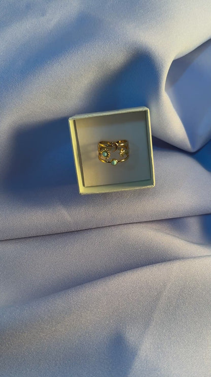 Anillo Universo